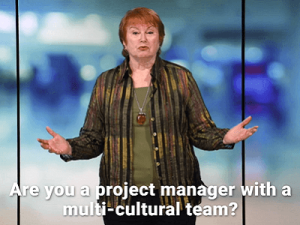 Effective cross-cultural communications for project managers, produktbild