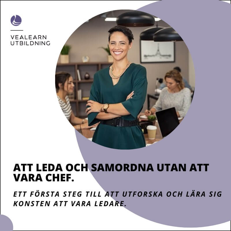 Att leda och samordna utan att vara chef - ledarskap onlinekurs