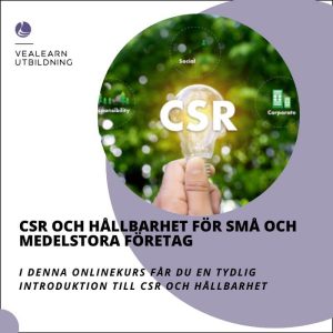 CSR och hållbarhet för små och medelstora företag-onlineutbildning