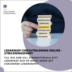 Ledarskapsutbildning chefstubildning online