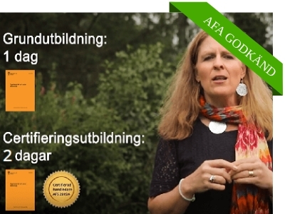 Praktisk kurs i organisatorisk och social arbetsmiljö