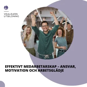 Effektivt-medarbetarskap-ansvar_-motivation-och-arbetsglädje