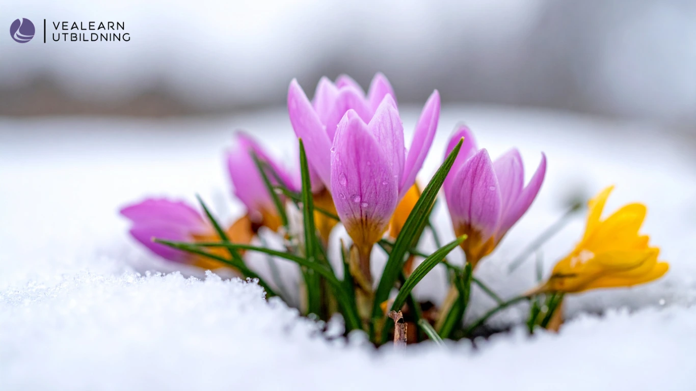 Fem saker du kan göra under påsken för din professionella utveckling